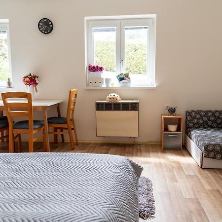 Apartman Fraise Daire Decin Dış mekan fotoğraf