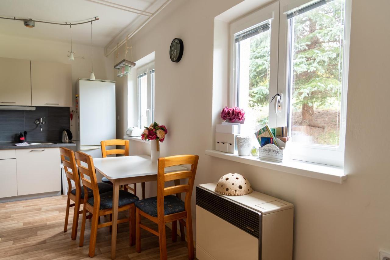 Apartman Fraise Daire Decin Dış mekan fotoğraf